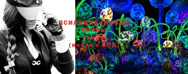 крисы Михайлов