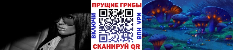 omg как войти Маркс маркетплейс как зайти Галлюциногенные грибы Cubensis