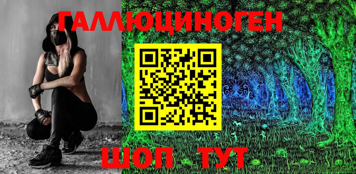 Псилоцибиновые грибы Psilocybe Маркс