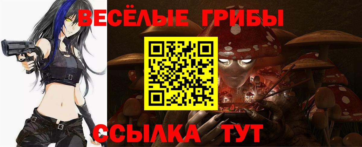 Галлюциногенные грибы Psilocybe  закладки  Маркс  Вход с VPN  Псилоцибиновые грибы ЛСД 