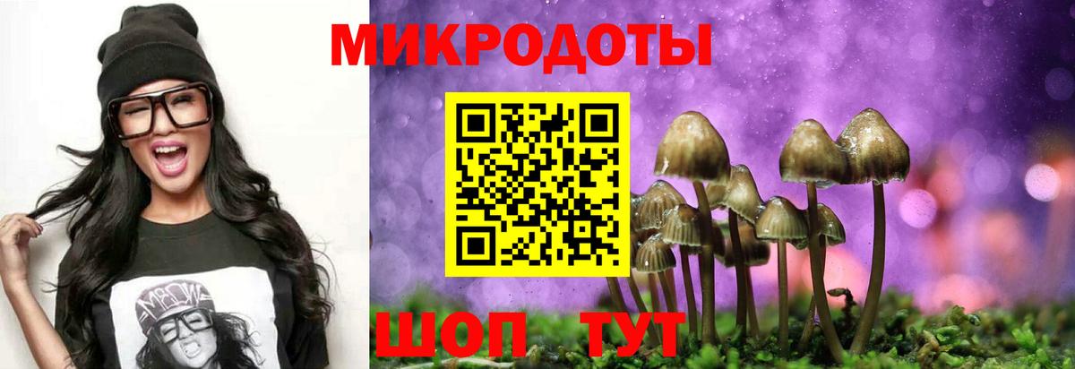 Галлюциногенные грибы Psilocybe Маркс